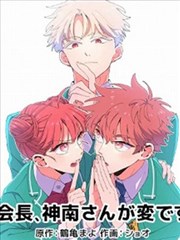 纸鸢少年作品封面